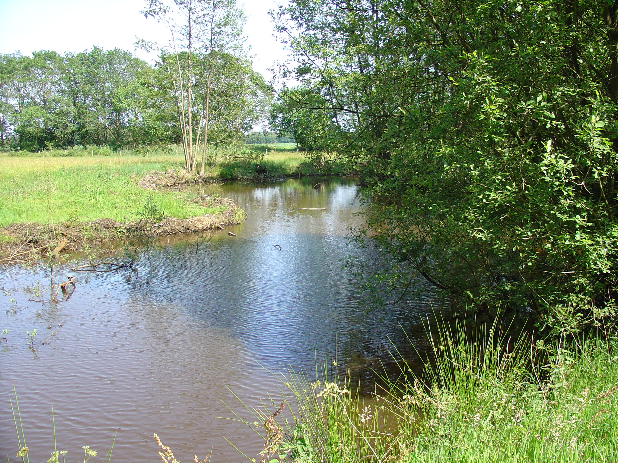 TerApel 014.jpg